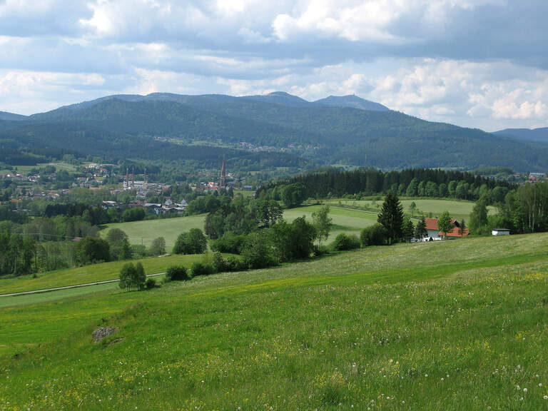 Ein Blick über grüne Wiesen und Wälder in der Zwieseler Ferienregion